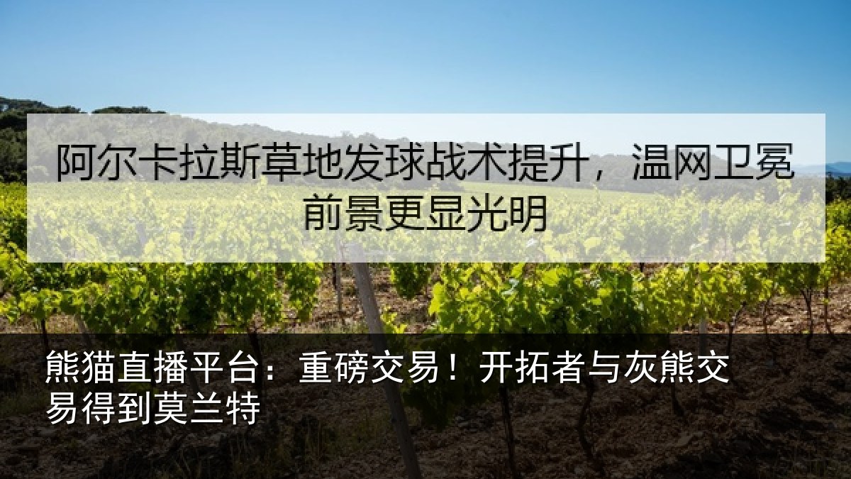 熊猫直播平台:重磅交易!开拓者与灰熊交易得到莫兰特
