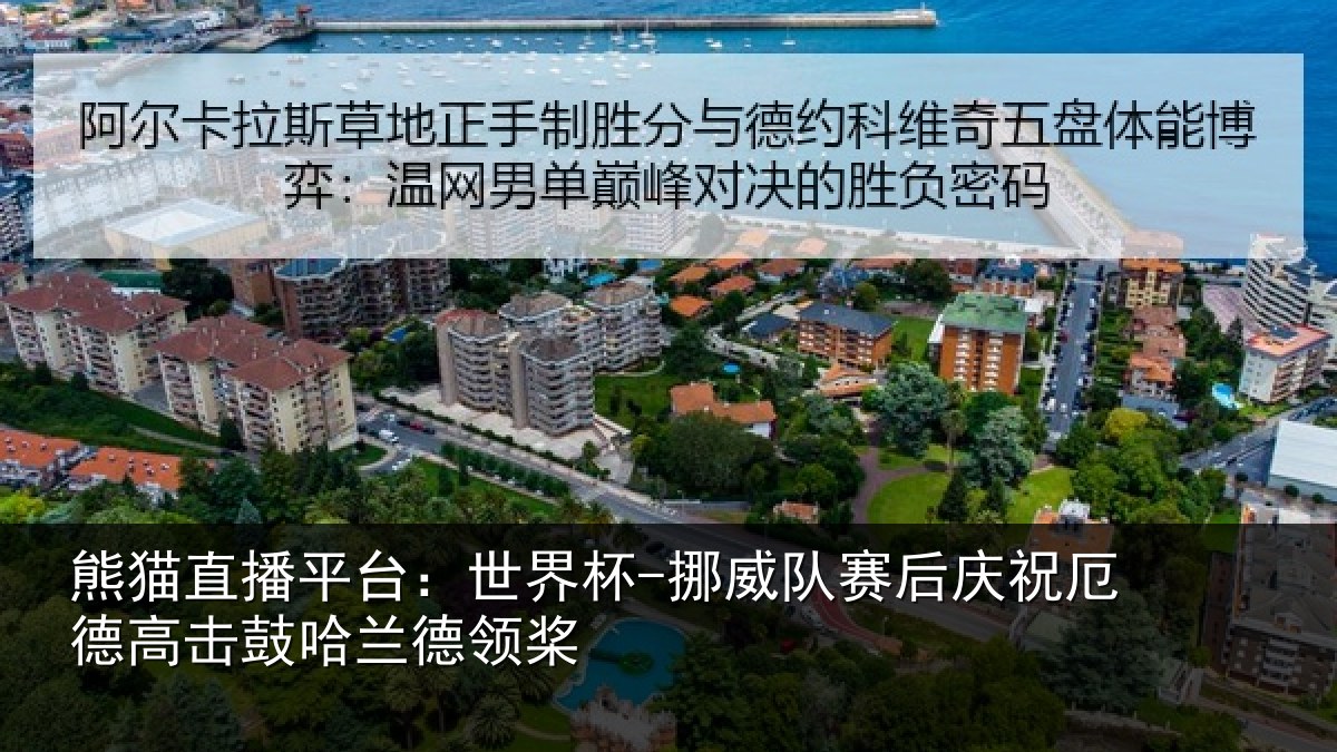 熊猫直播平台：世界杯-挪威队赛后庆祝厄德高击鼓哈兰德领桨